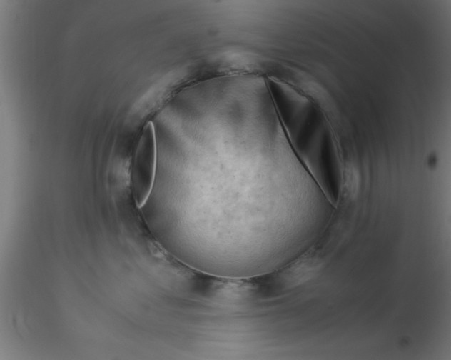 X0000116370621200912231317