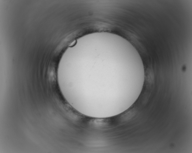 X0000116370622200912231317