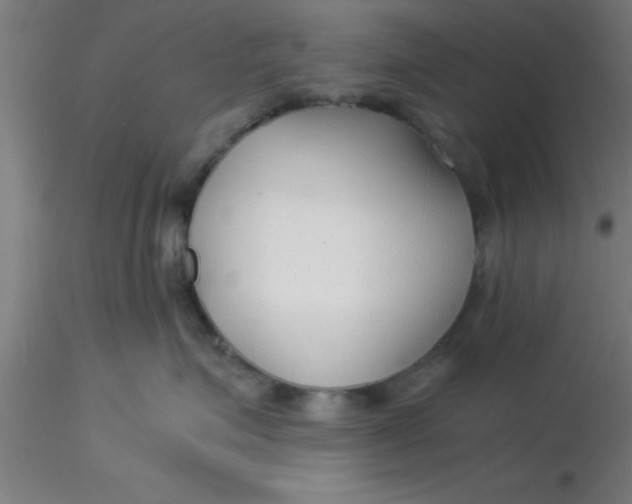 X0000116370623200912231317