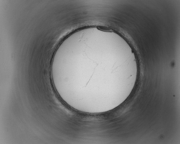 X0000116370625200912231316