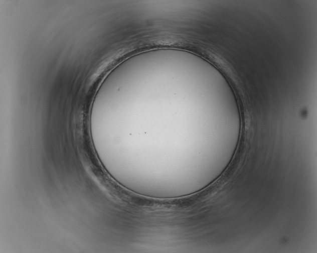 X0000116370626200912231316