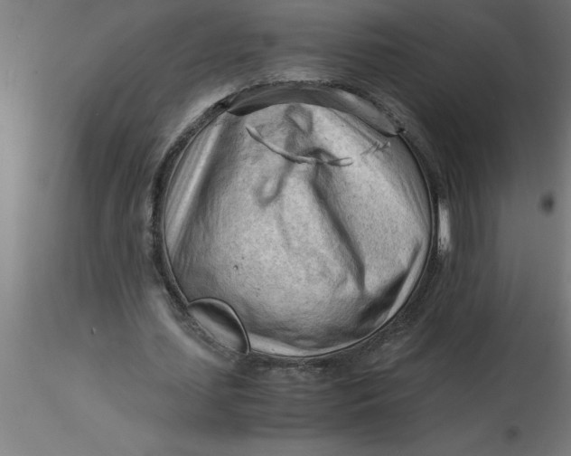 X0000116370627200912231316