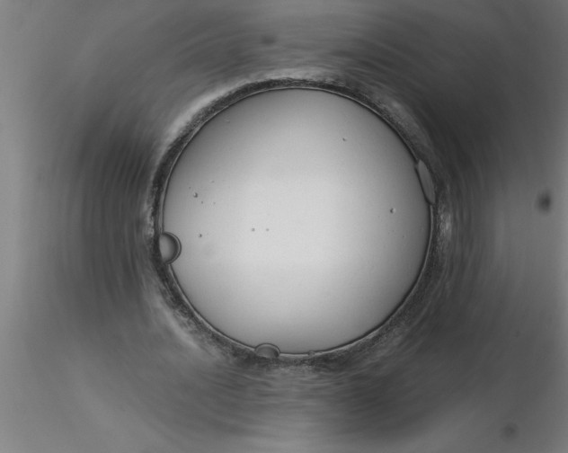 X0000116370628200912231316