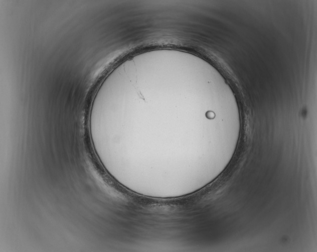 X0000116370629200912231316