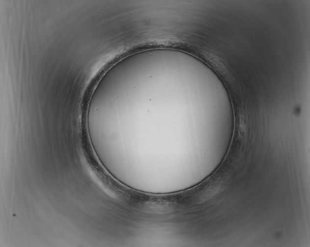 X0000116370630200912231316