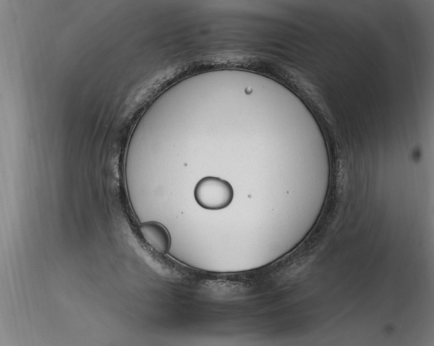 X0000116370633200912231316