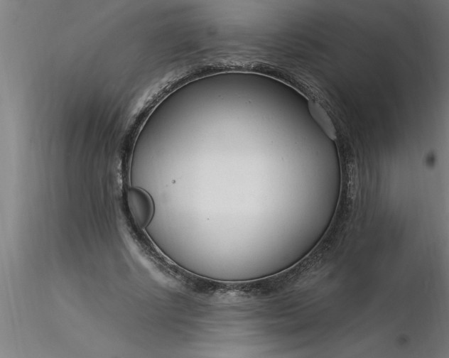 X0000116370634200912231316