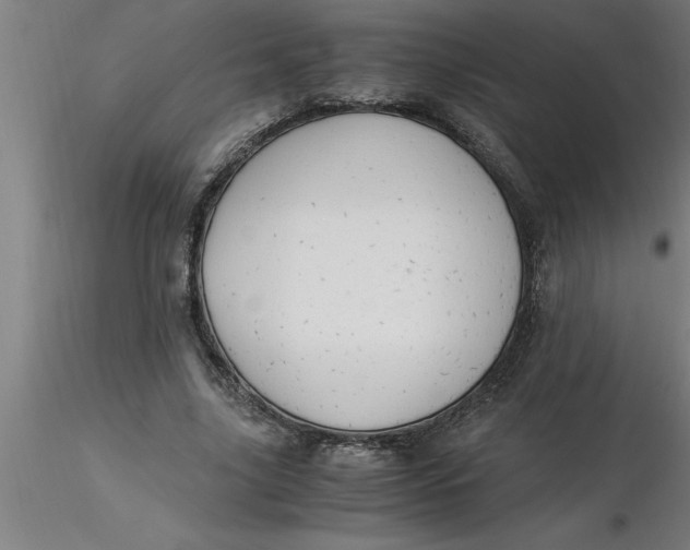 X0000116370635200912231316