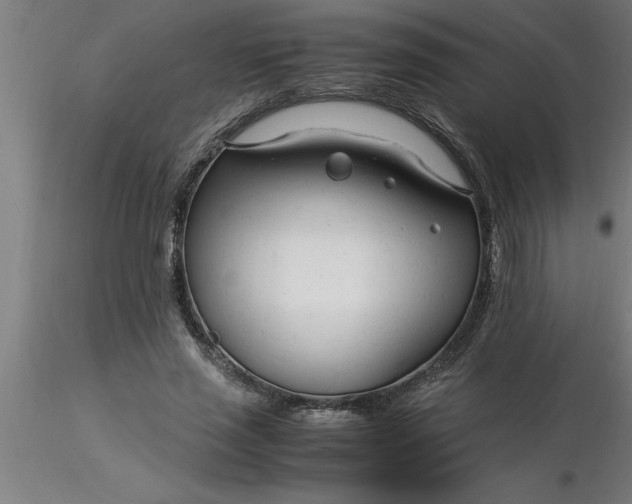 X0000116370637200912231316