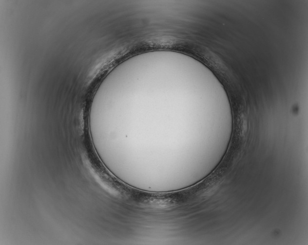 X0000116370638200912231316