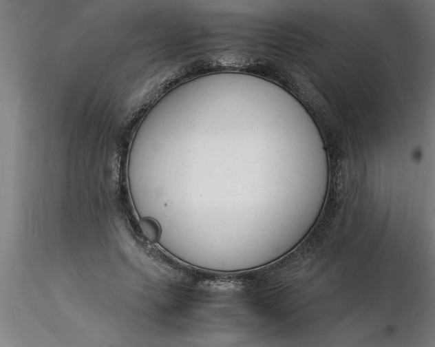 X0000116370639200912231316