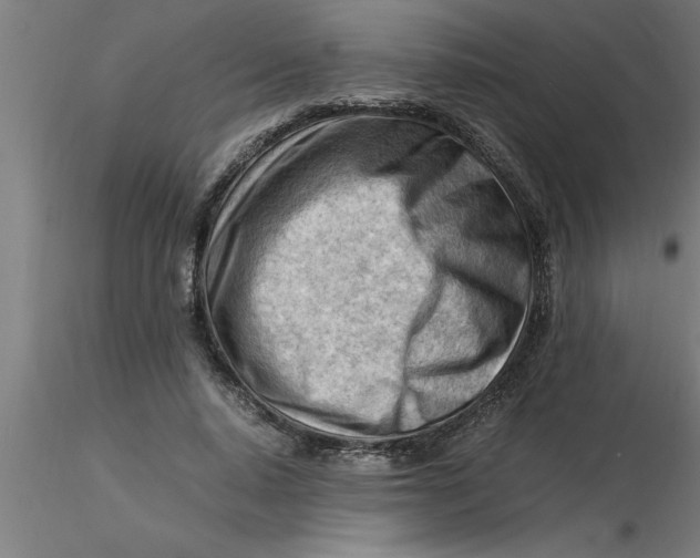 X0000116370640200912231316