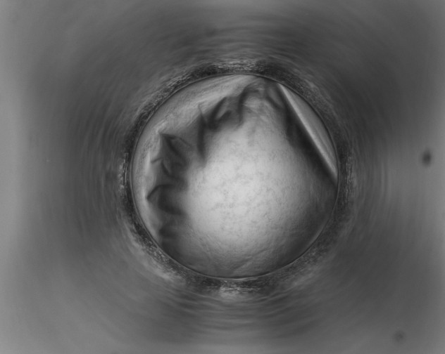 X0000116370641200912231316