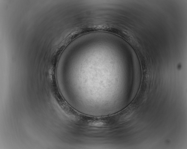 X0000116370643200912231316