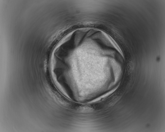 X0000116370644200912231317