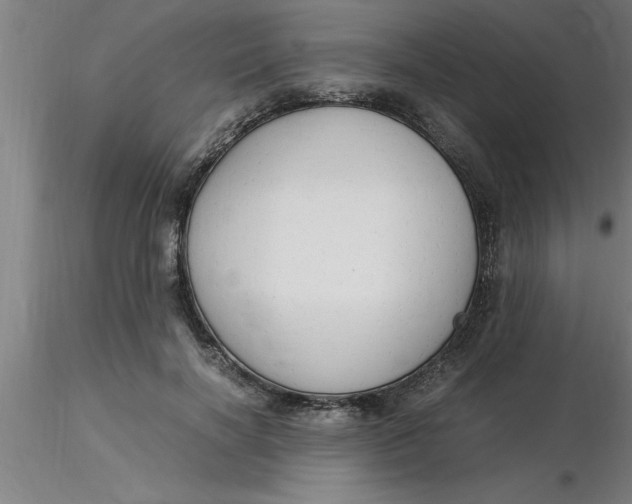 X0000116370646200912231317