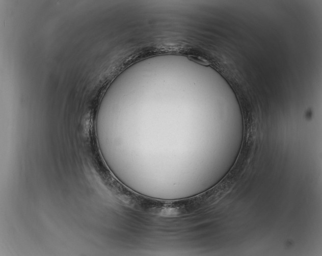 X0000116370647200912231317