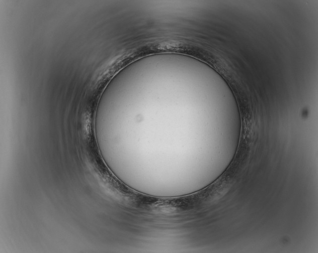 X0000116370648200912231317