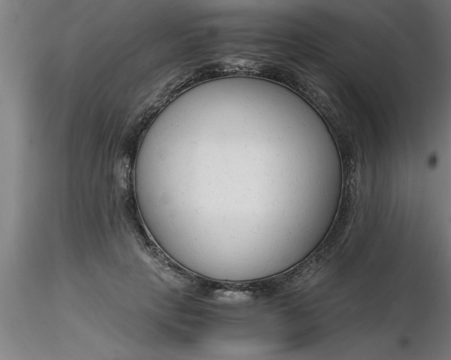 X0000116370649200912231317