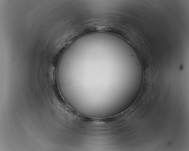 X0000116370650200912231317