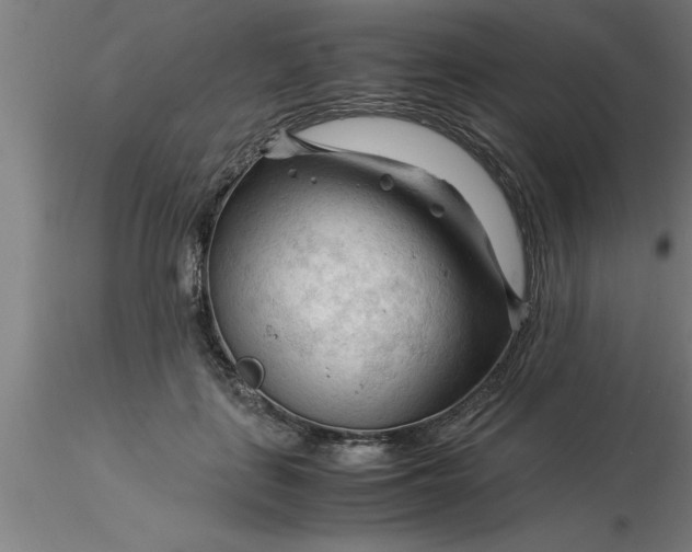 X0000116370651200912231317