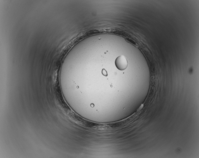 X0000116370652200912231317