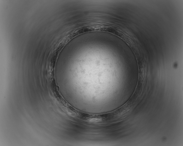 X0000116370653200912231317