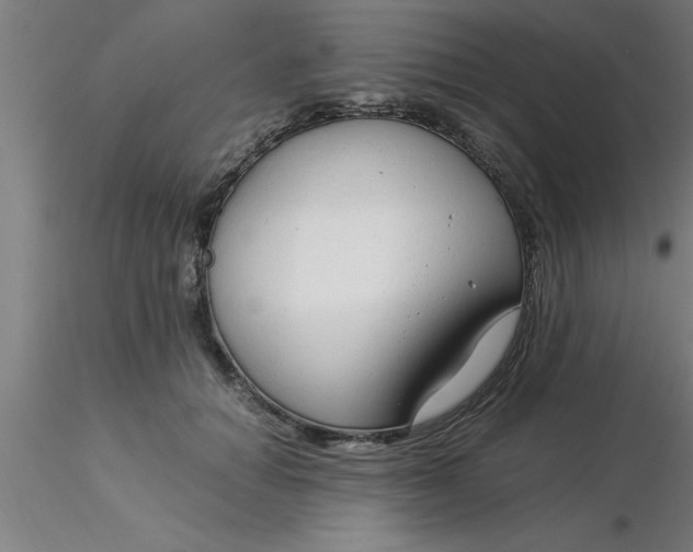 X0000116370654200912231317