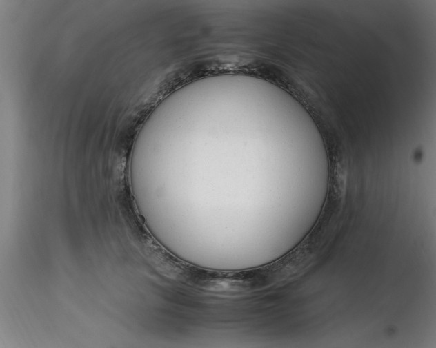 X0000116370657200912231317