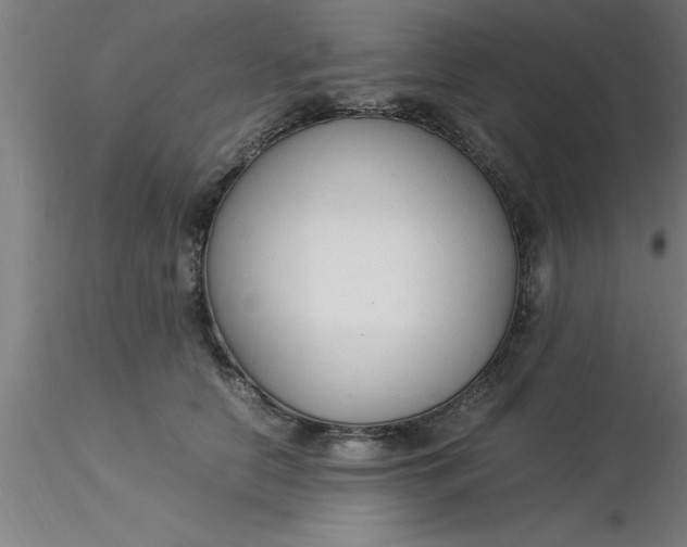 X0000116370658200912231317