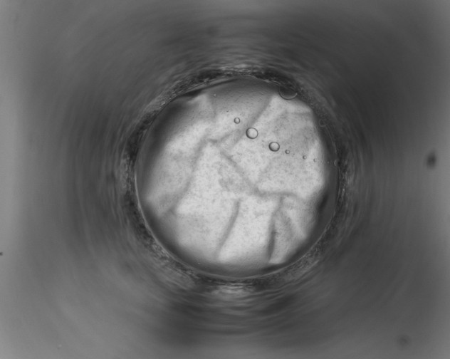 X0000116370659200912231317