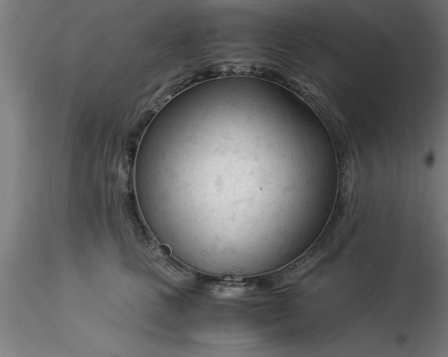 X0000116370661200912231317