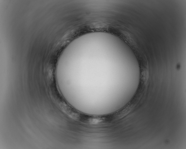 X0000116370662200912231317