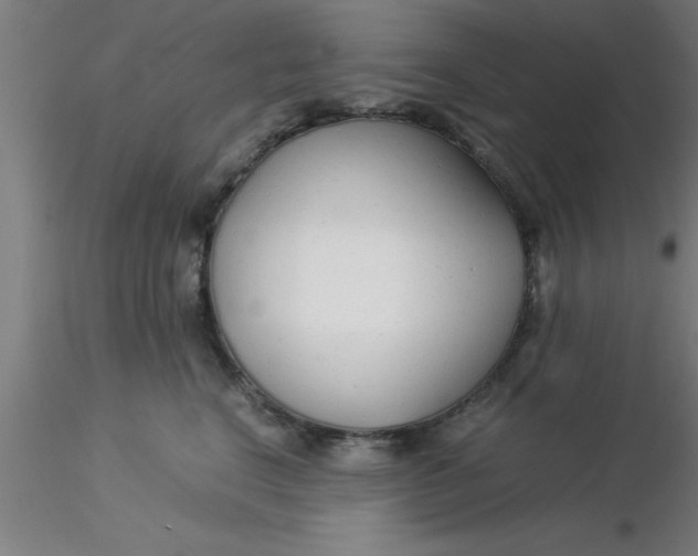 X0000116370664200912231317