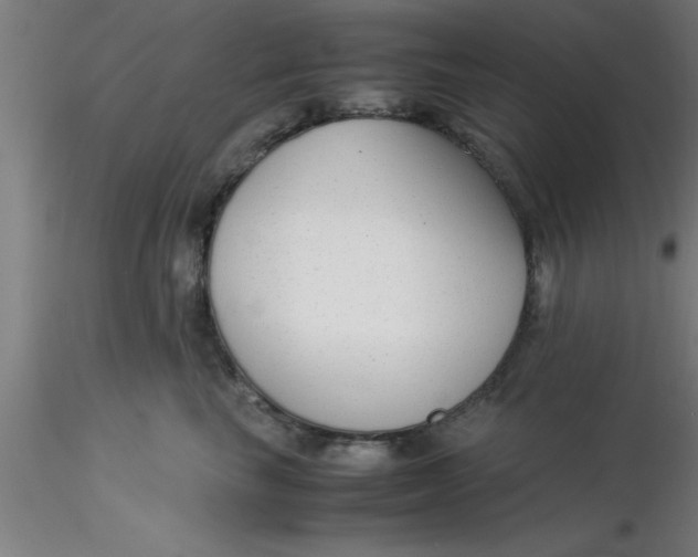 X0000116370665200912231317