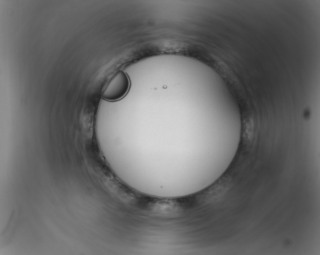 X0000116370666200912231317