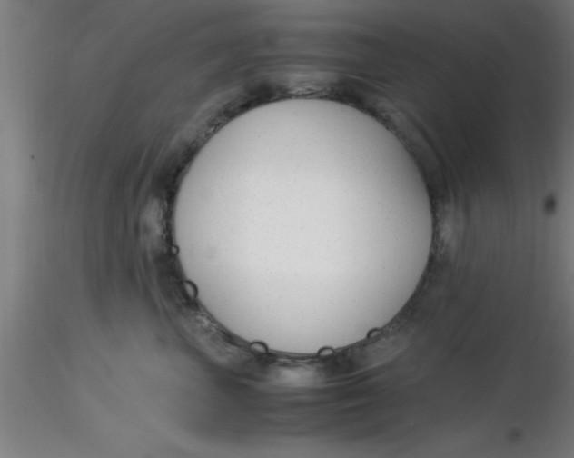 X0000116370667200912231317