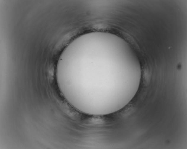 X0000116370668200912231317