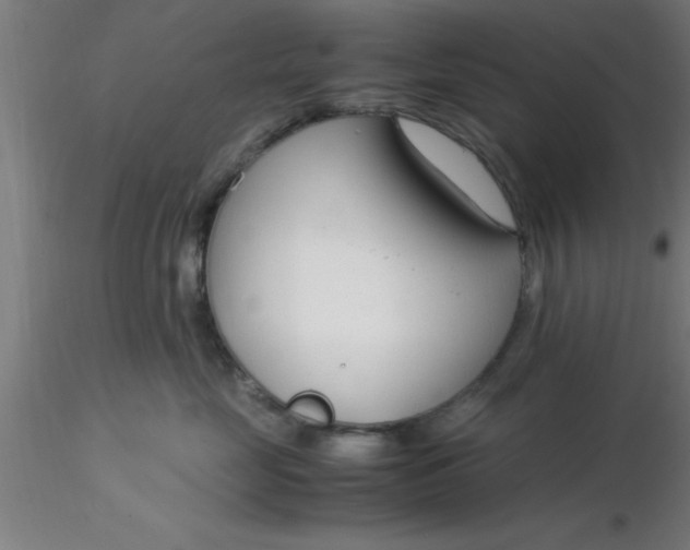 X0000116370669200912231317