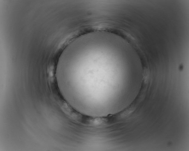 X0000116370670200912231317