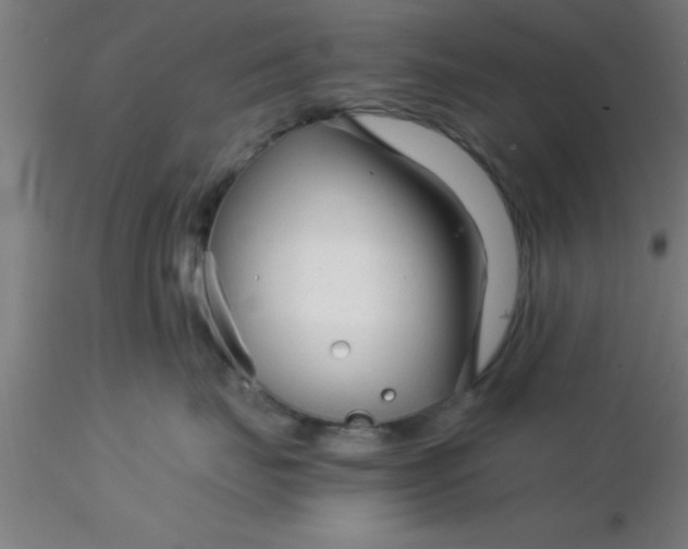 X0000116370671200912231317