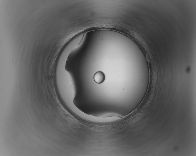 X0000116370673200912231316