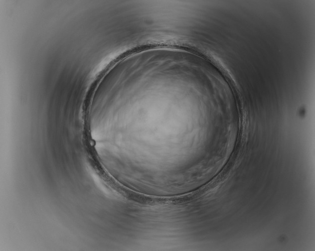 X0000116370674200912231316