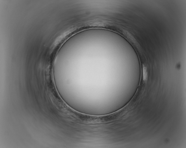 X0000116370675200912231316