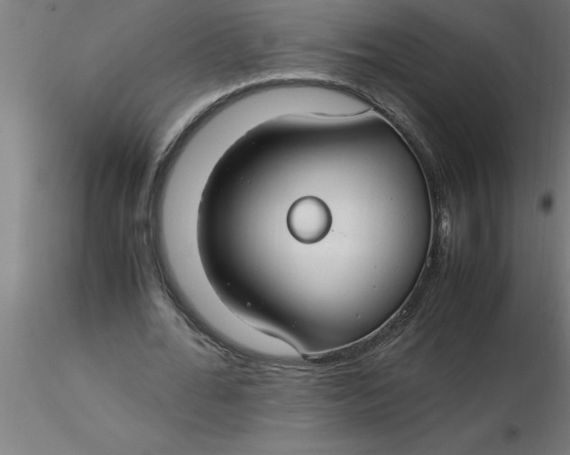 X0000116370676200912231316