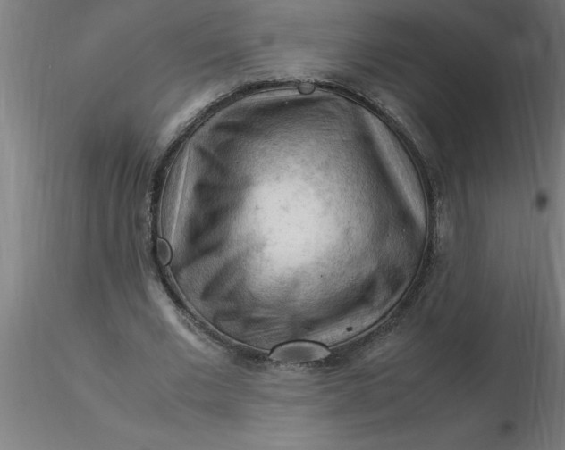 X0000116370677200912231316