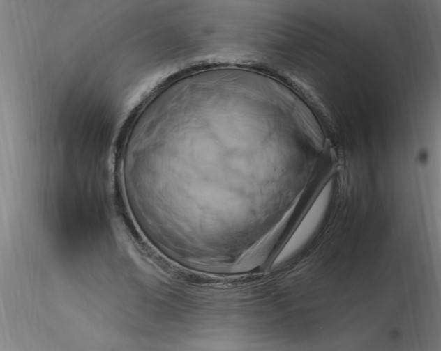 X0000116370678200912231316