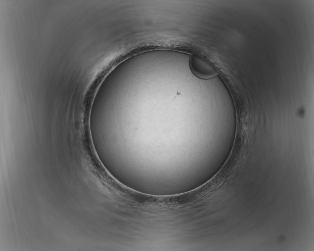 X0000116370679200912231316