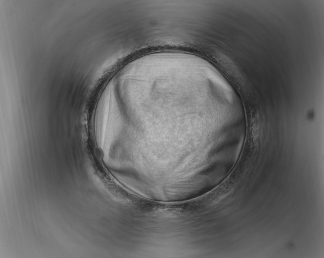 X0000116370680200912231316