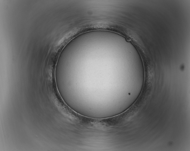 X0000116370681200912231316